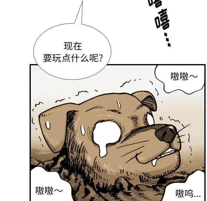 17.jpg