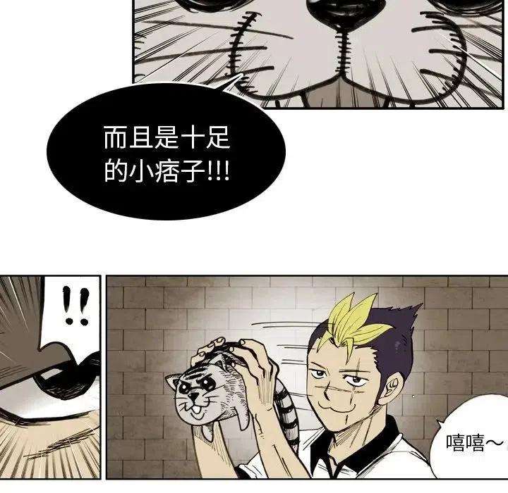 29.jpg