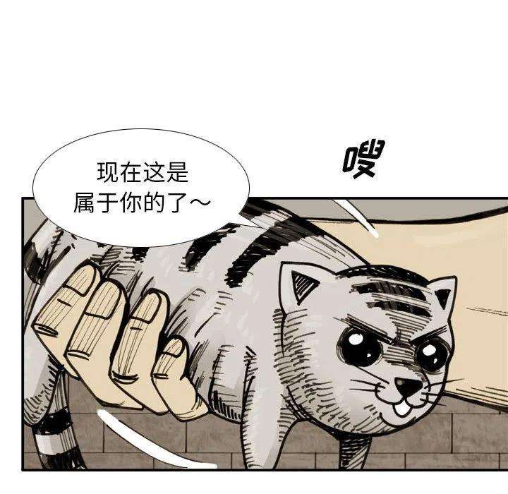 77.jpg