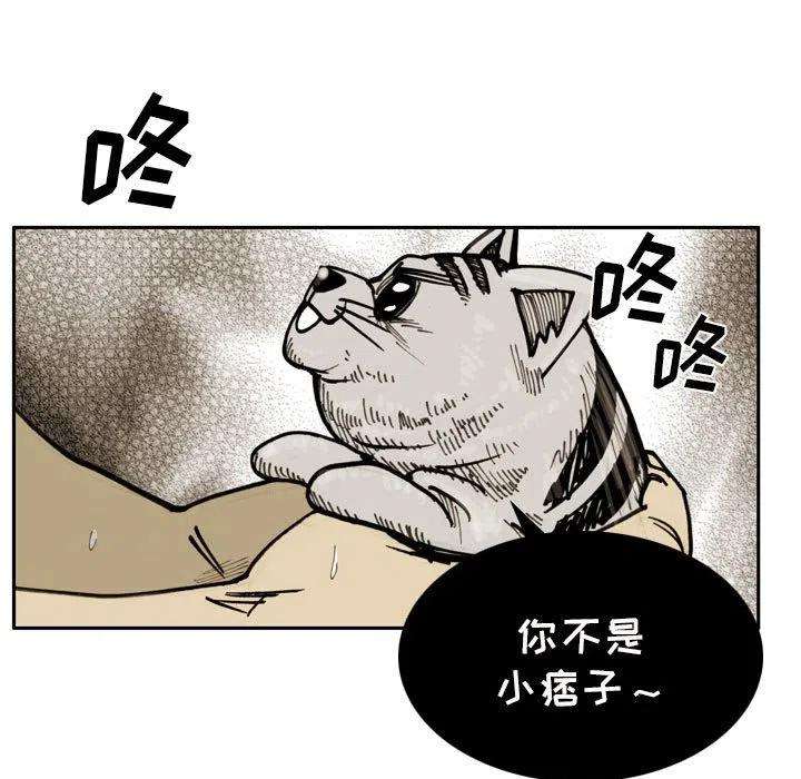 47.jpg