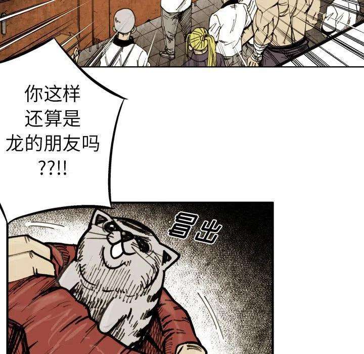 43.jpg