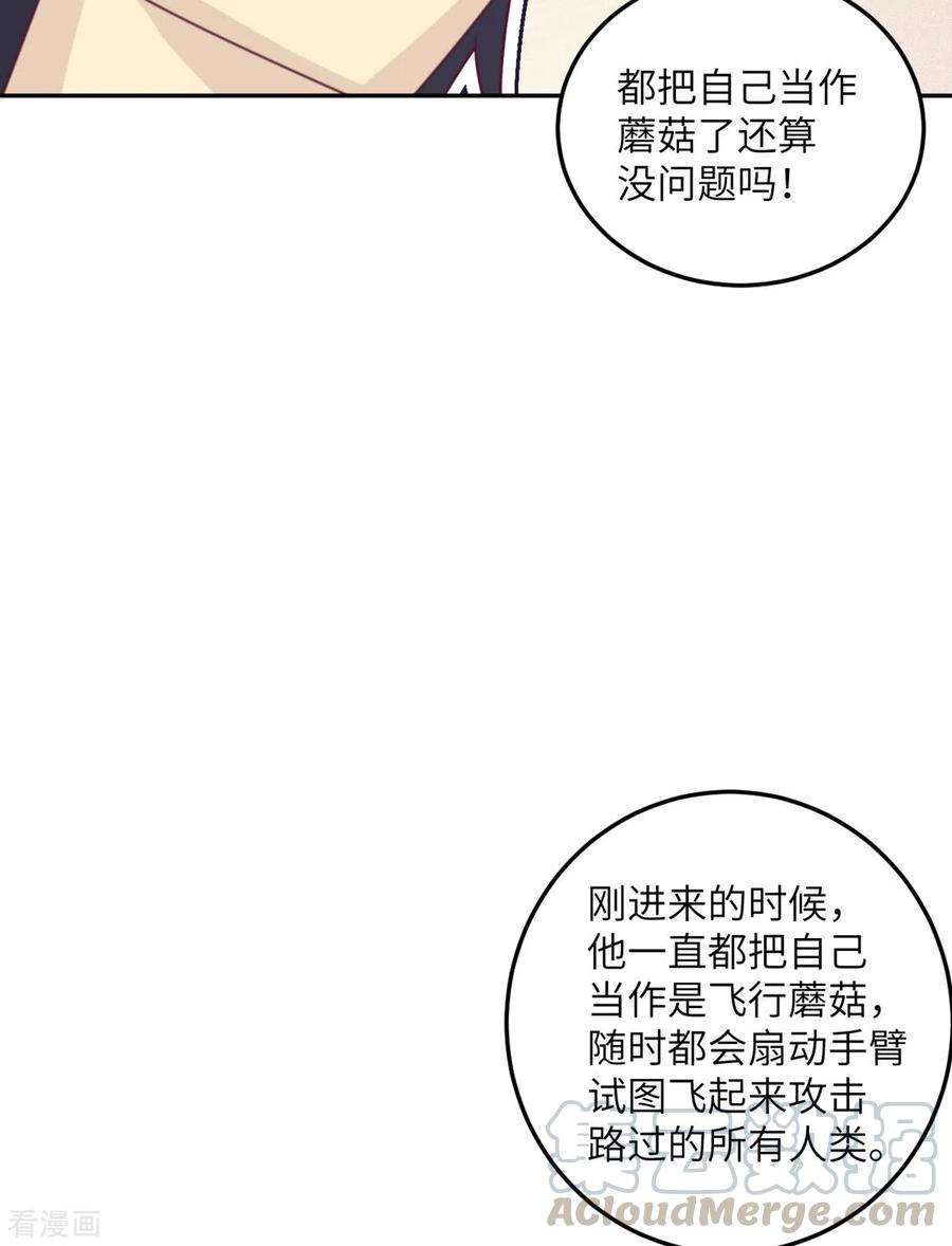 19.jpg
