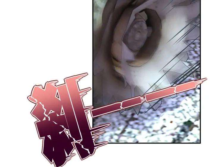 67.jpg