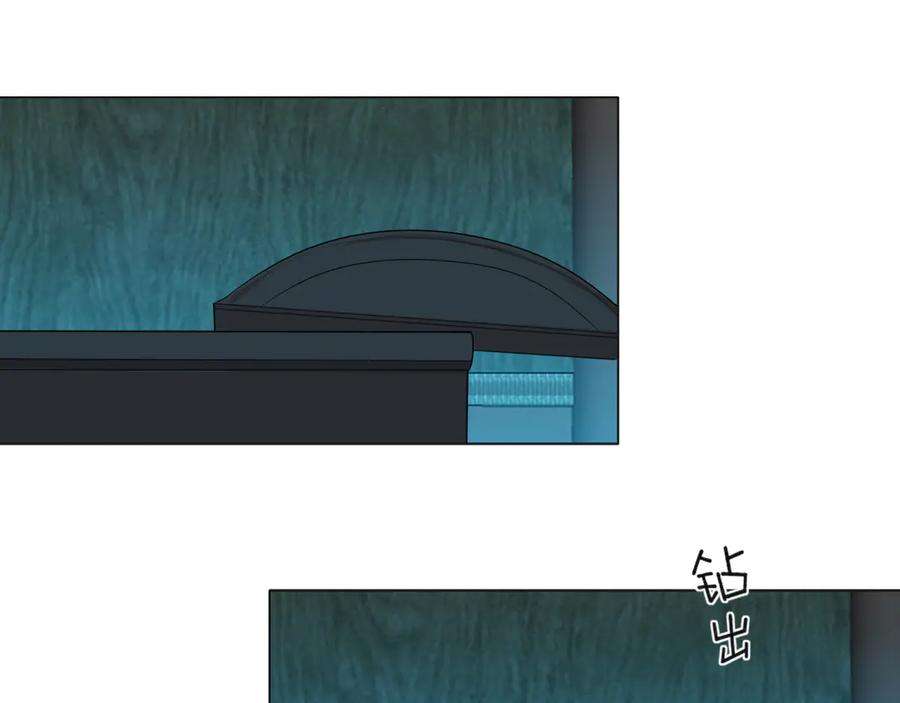 71.jpg