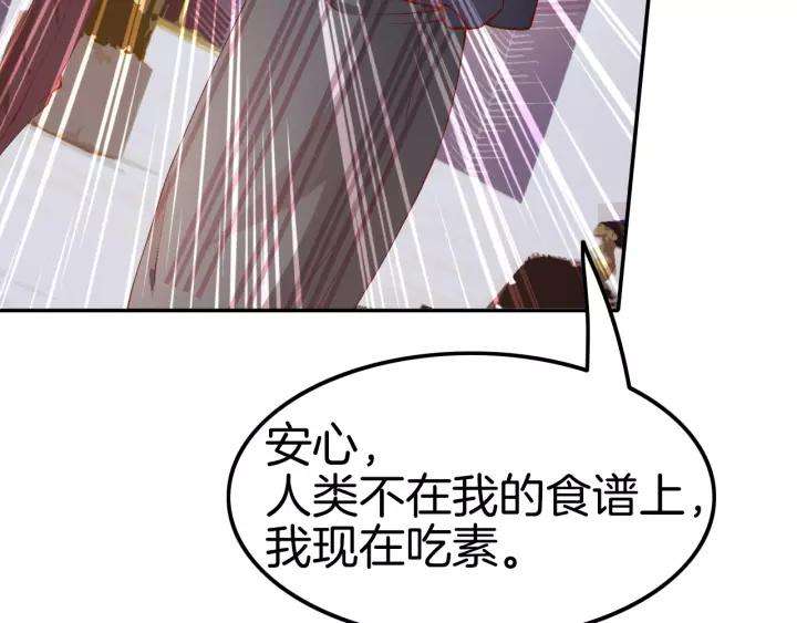 113.jpg