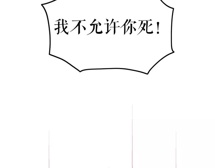 113.jpg