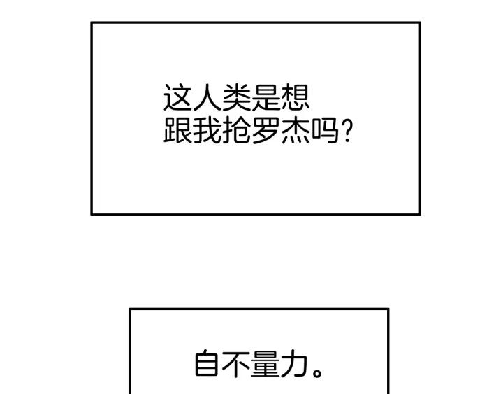 117.jpg