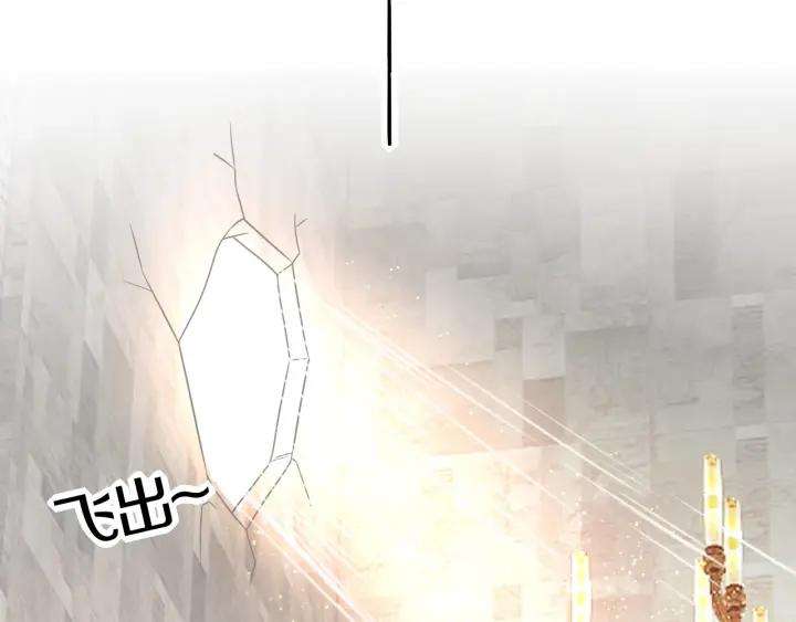 113.jpg