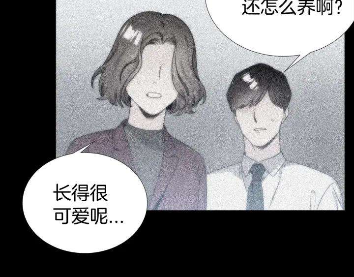 89.jpg