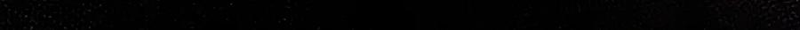 139.jpg