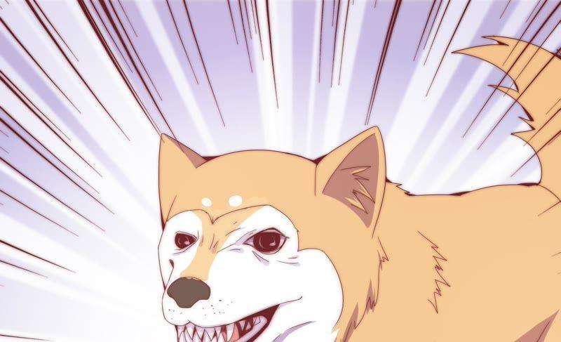 50.jpg