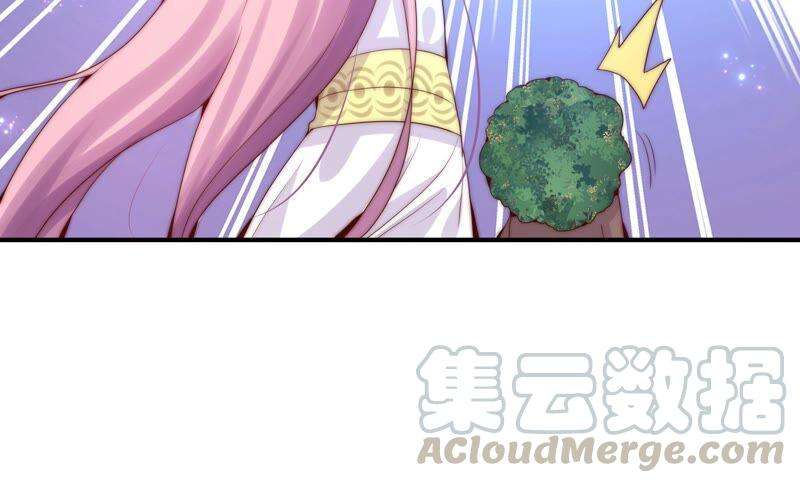 46.jpg