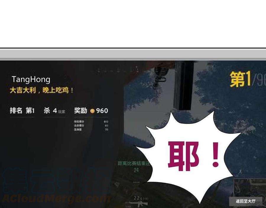 41.jpg