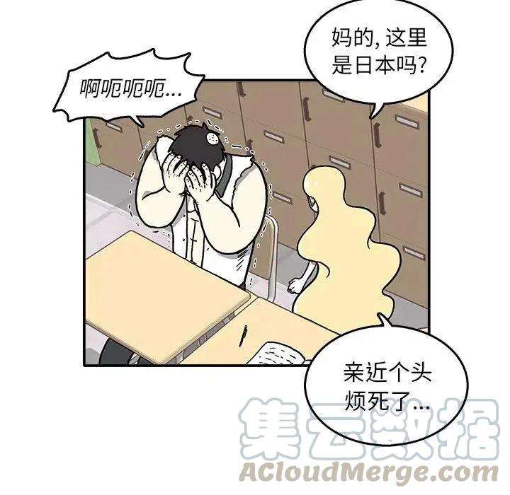 49.jpg