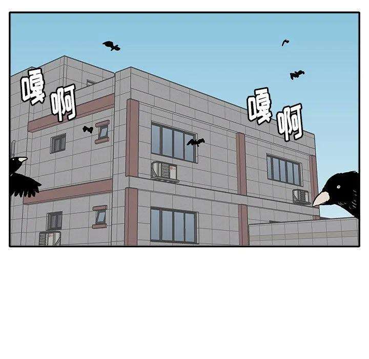 81.jpg