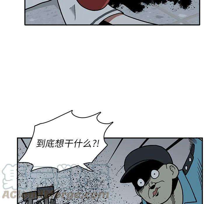 41.jpg