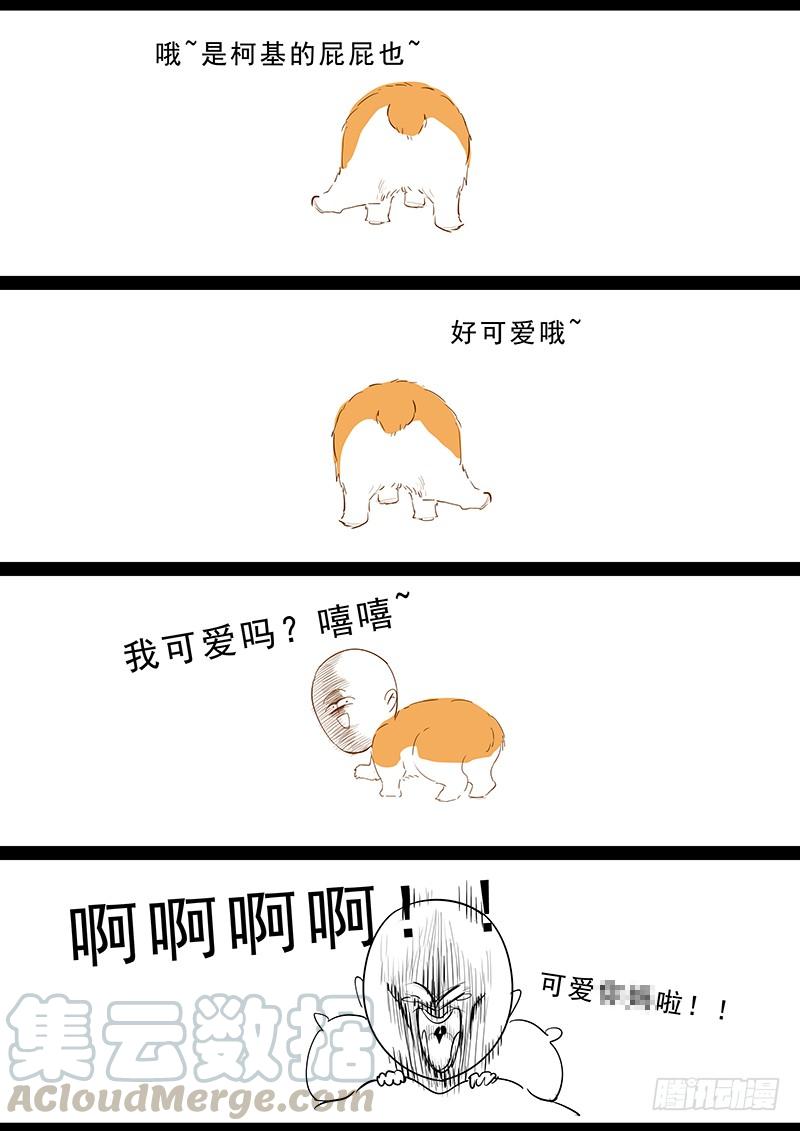 29.jpg