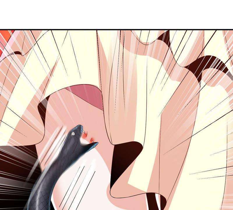 61.jpg