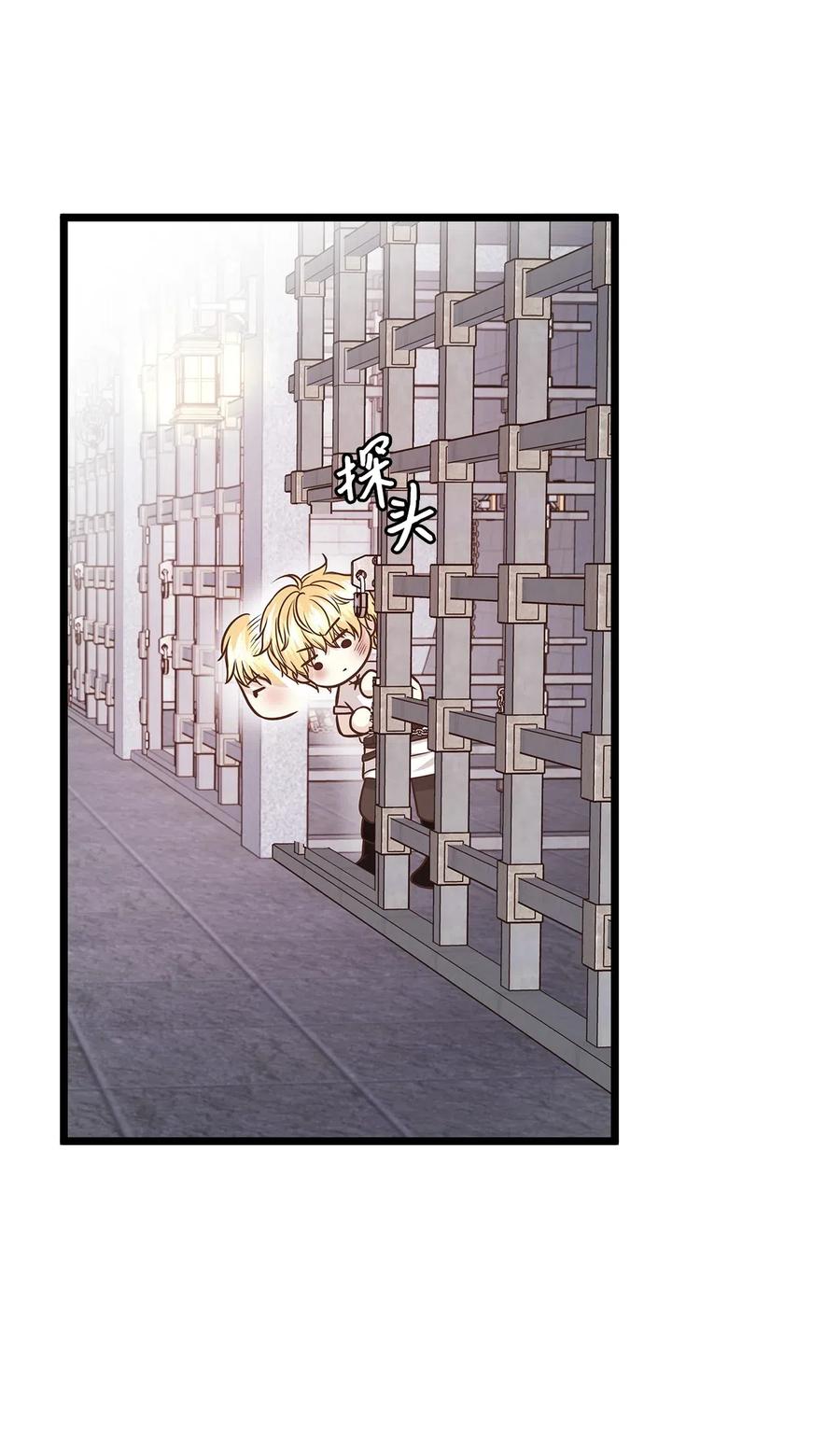 47.jpg