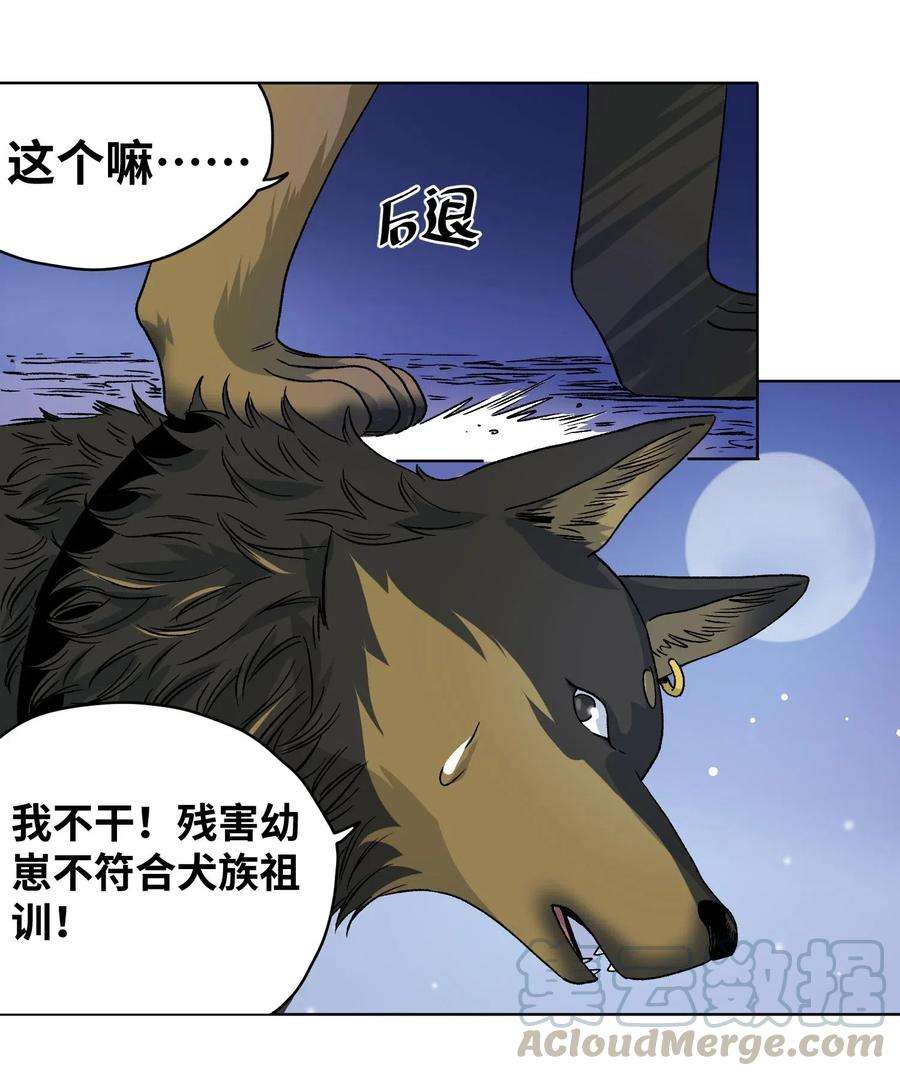 13.jpg