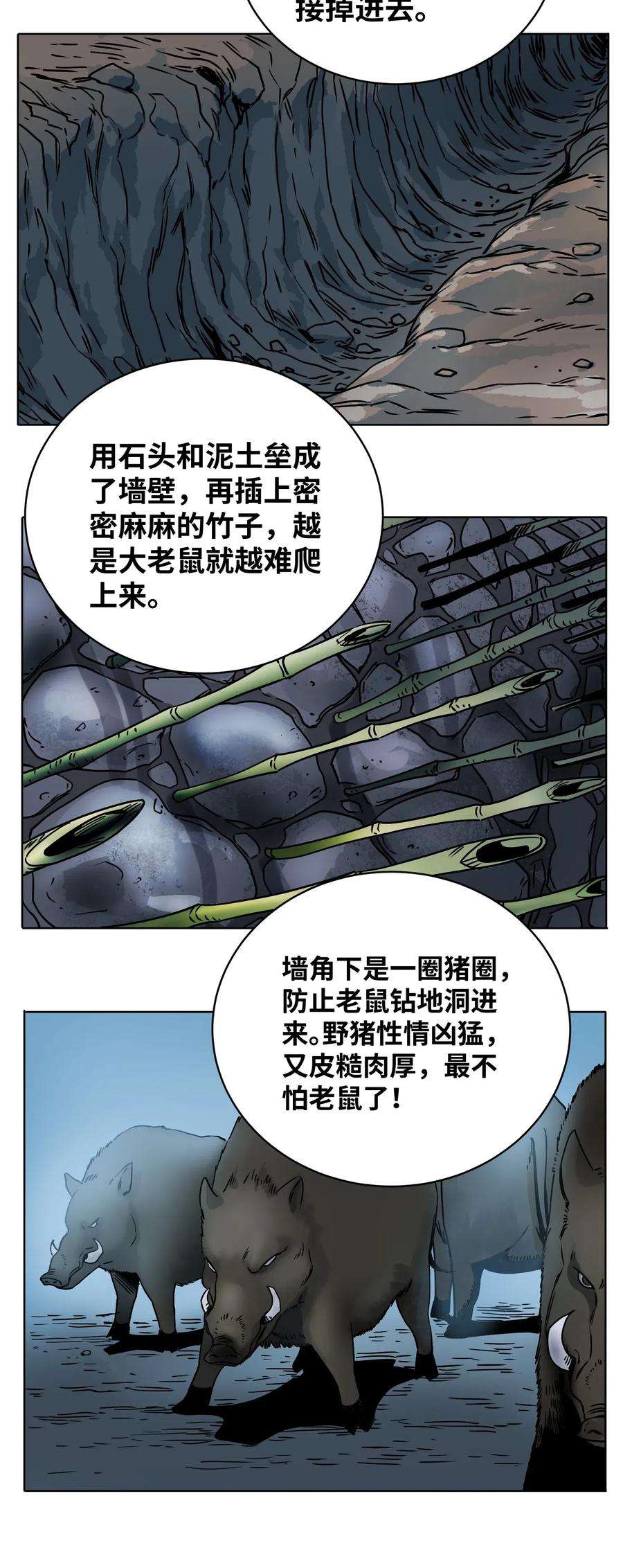 20.jpg