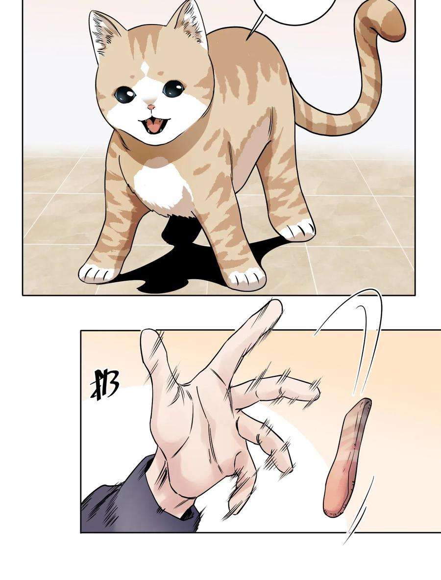 14.jpg