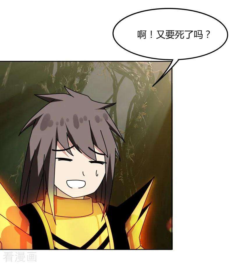 40.jpg