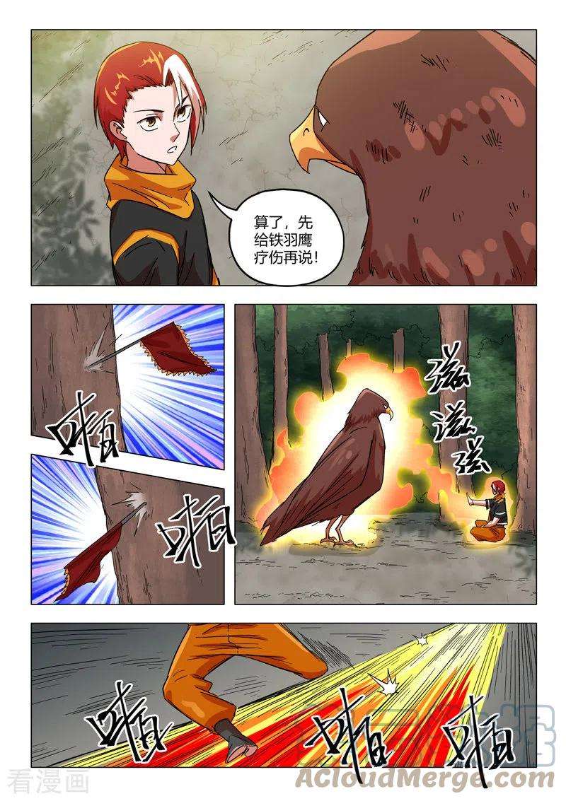 9.jpg