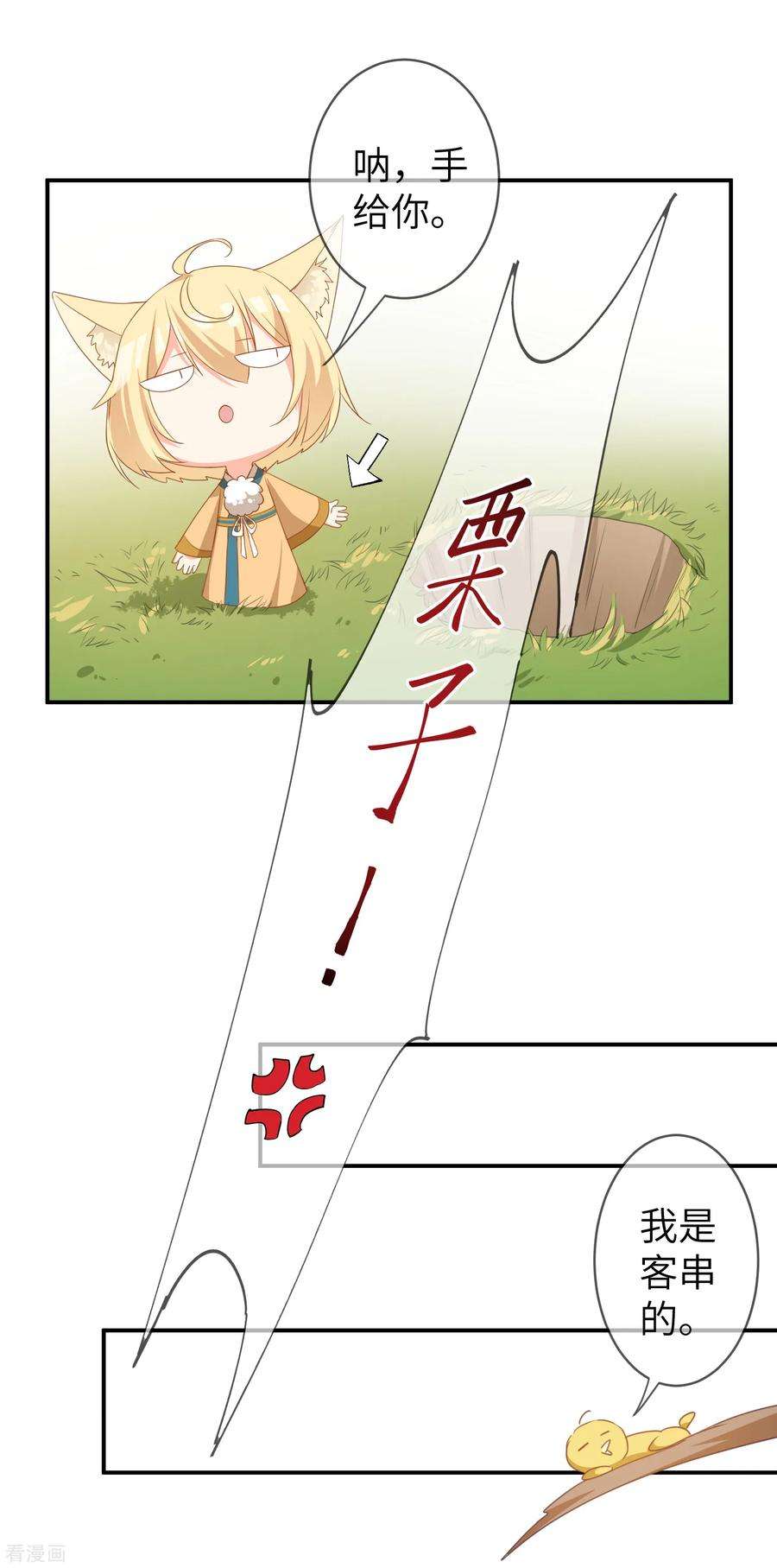 15.jpg
