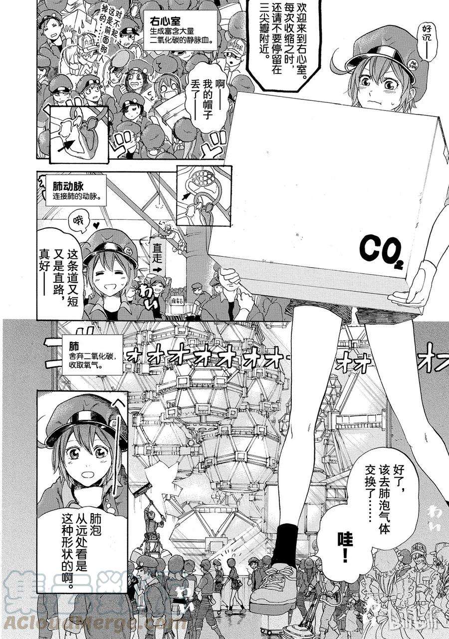 16.jpg