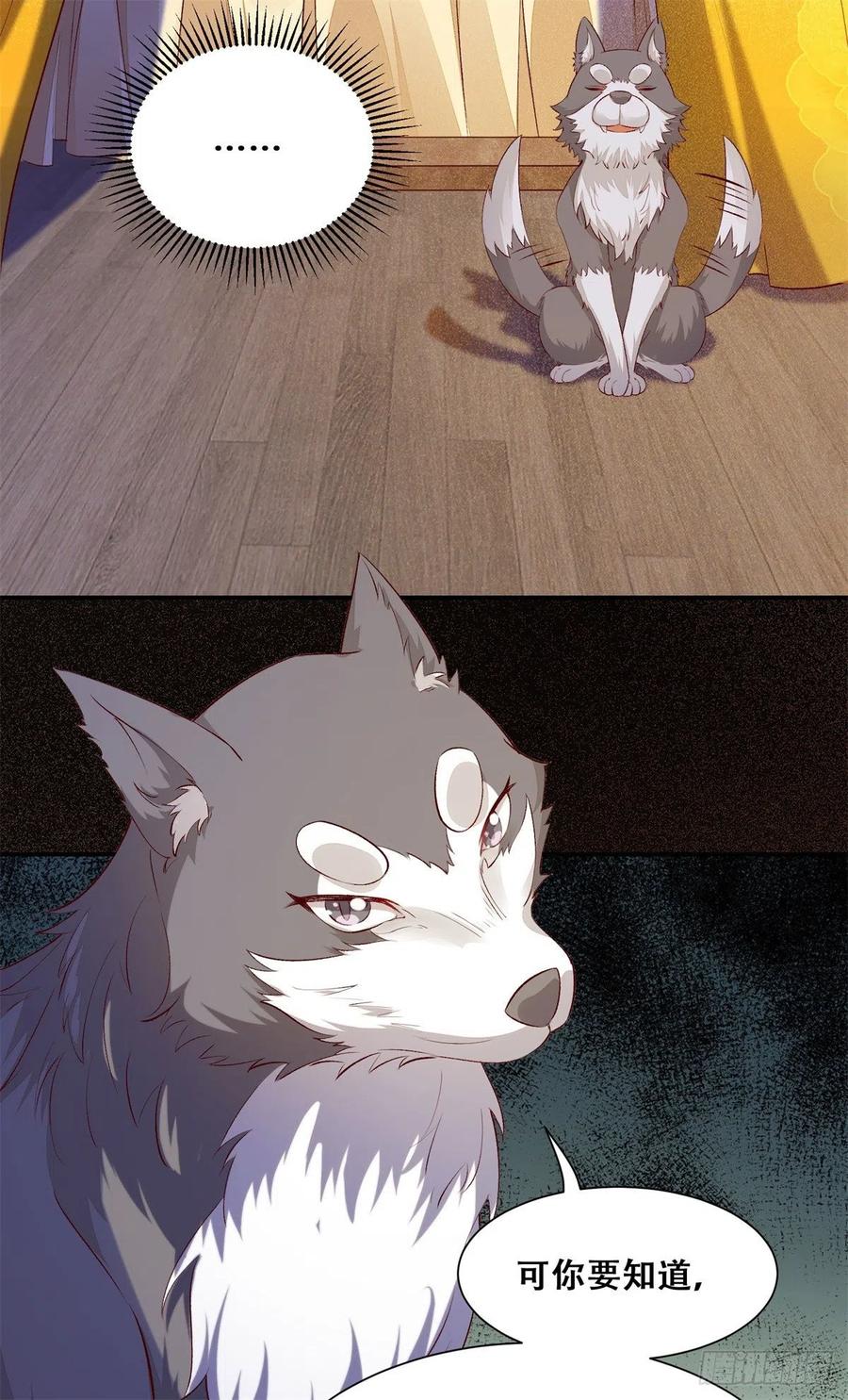 20.jpg