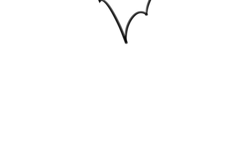 117.jpg
