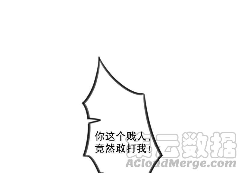 116.jpg