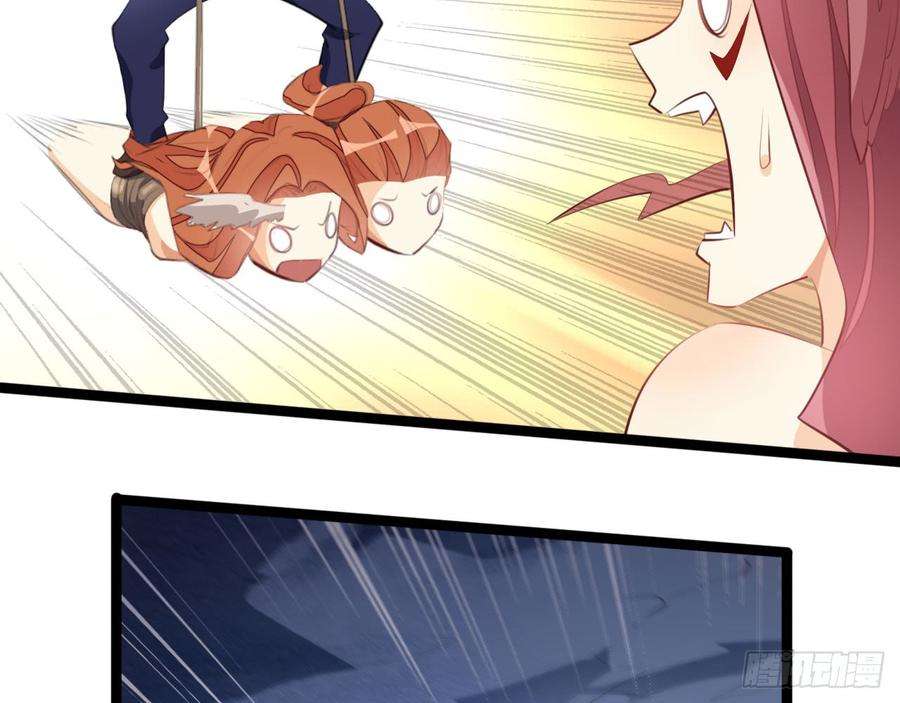 41.jpg