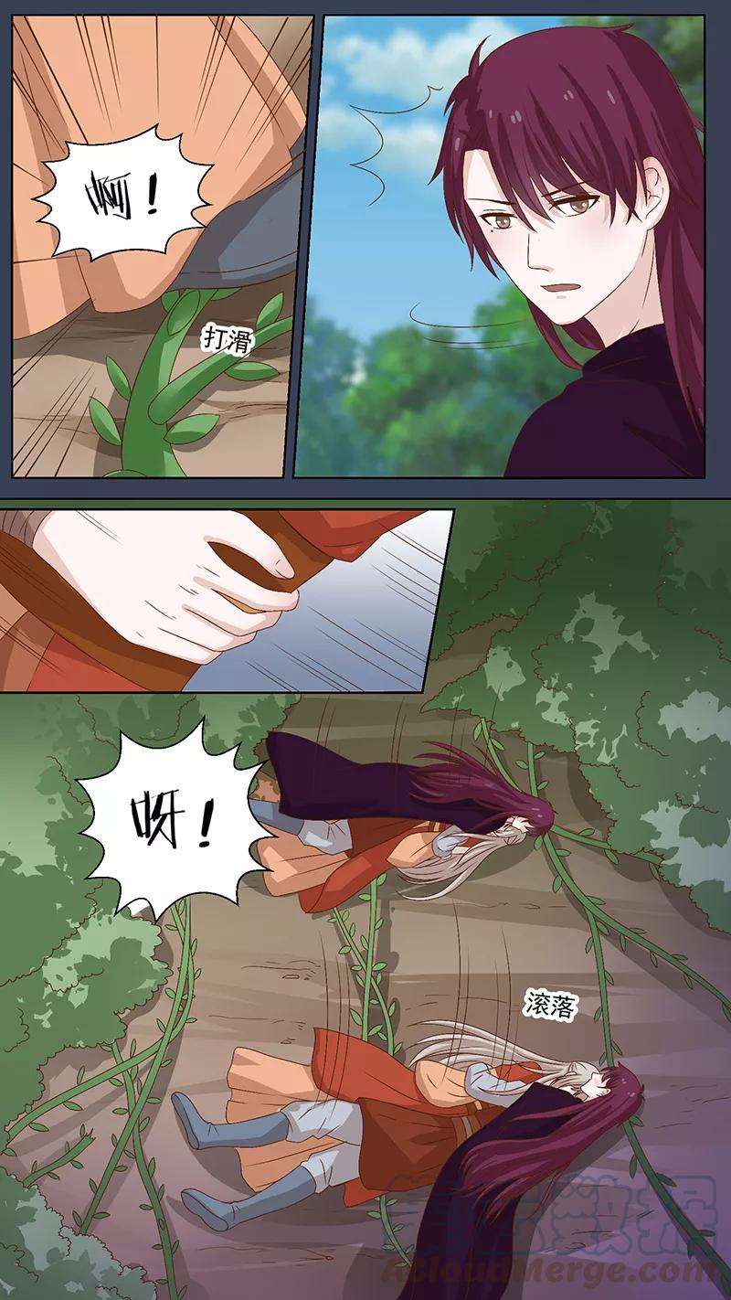 5.jpg