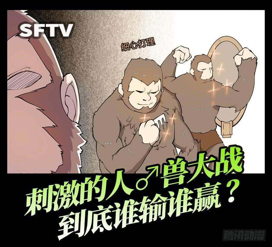 55.jpg