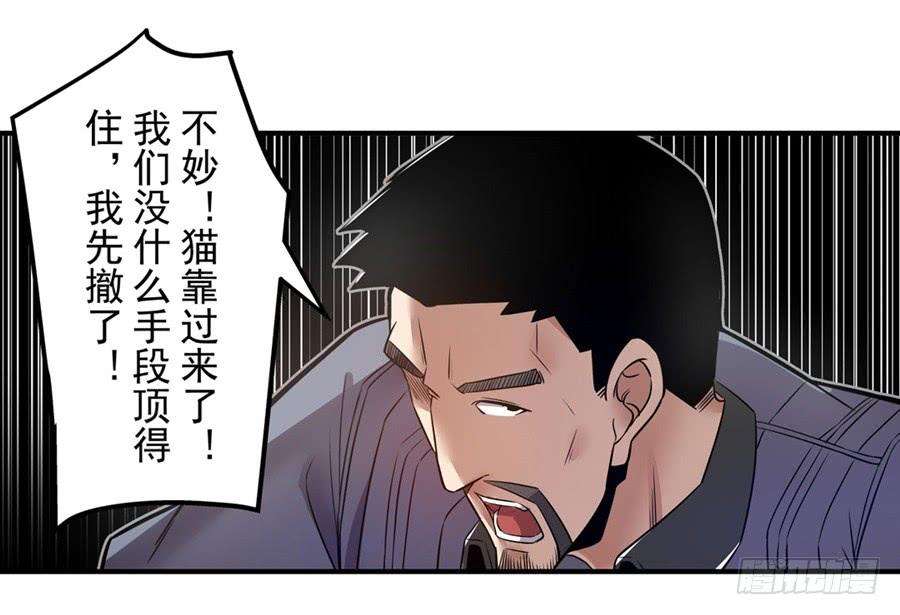 27.jpg