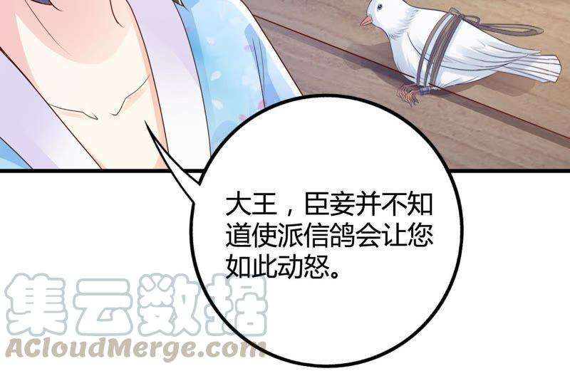 61.jpg