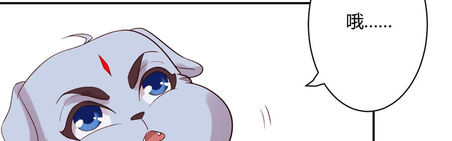 111.jpg