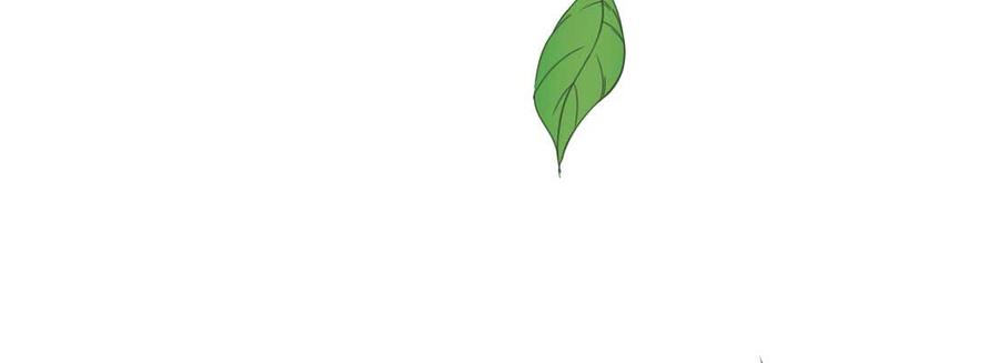 235.jpg