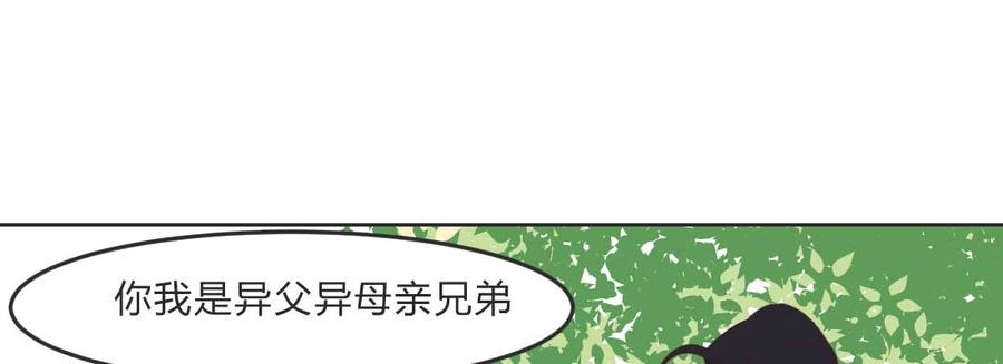 133.jpg