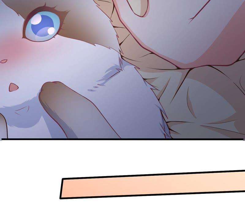 53.jpg