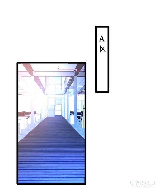 51.jpg