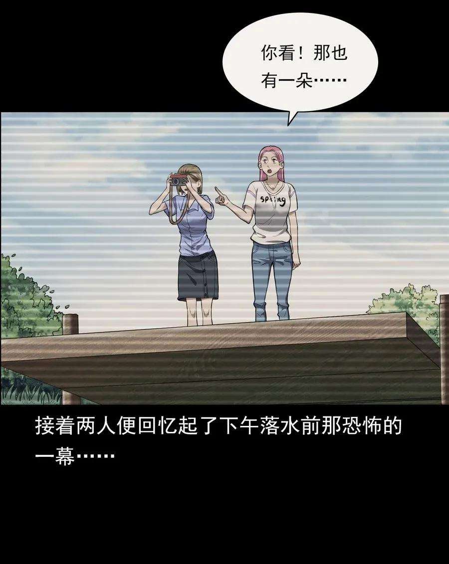 50.jpg