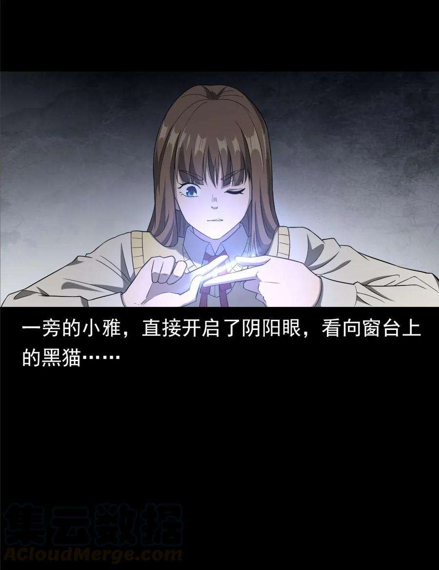 77.jpg