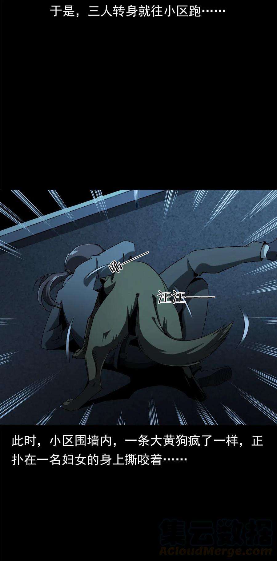 29.jpg