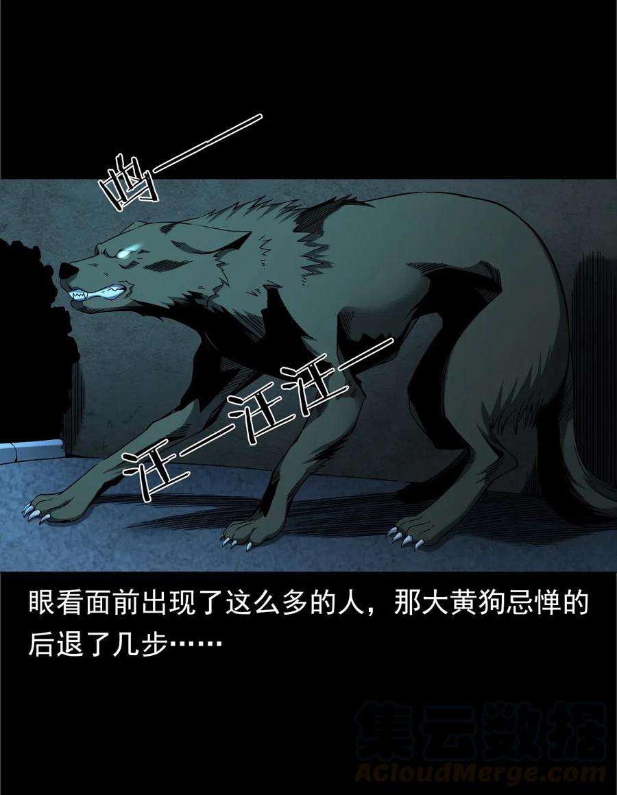 49.jpg
