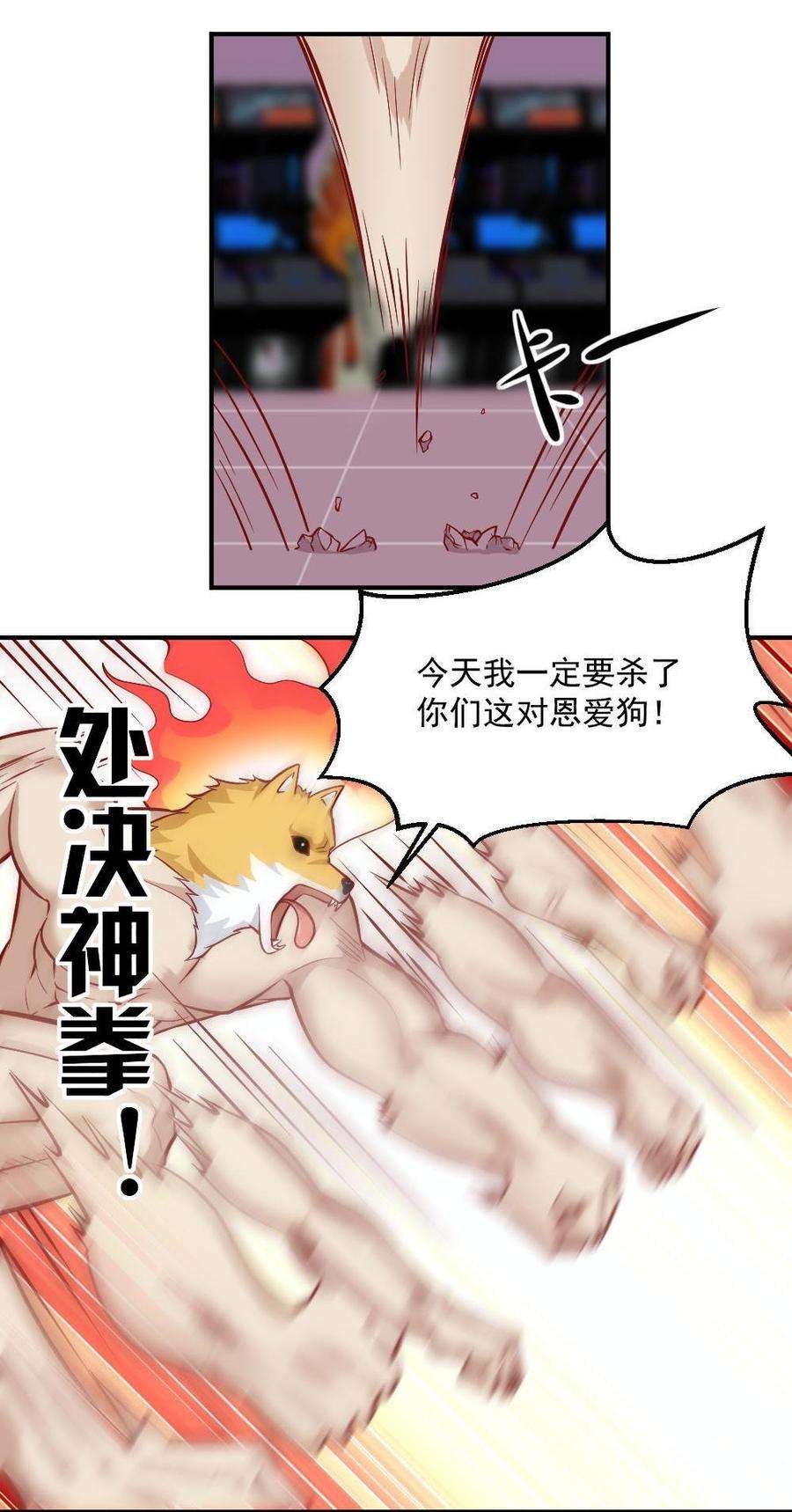 14.jpg