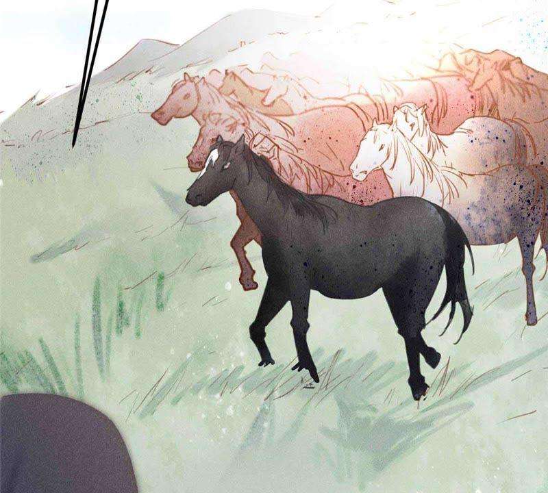 117.jpg