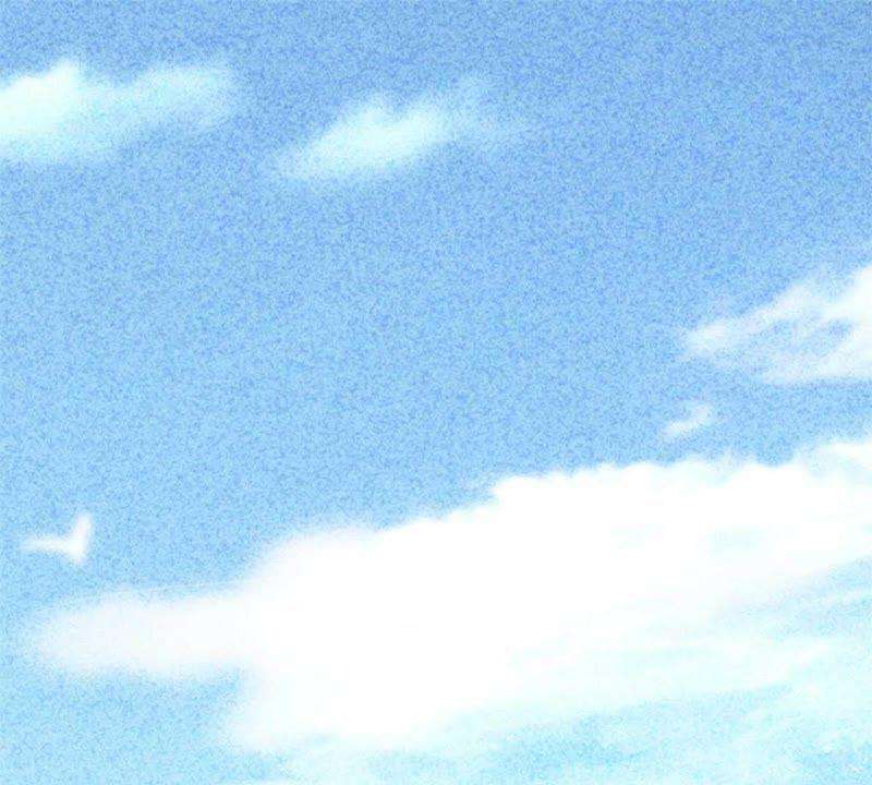 100.jpg